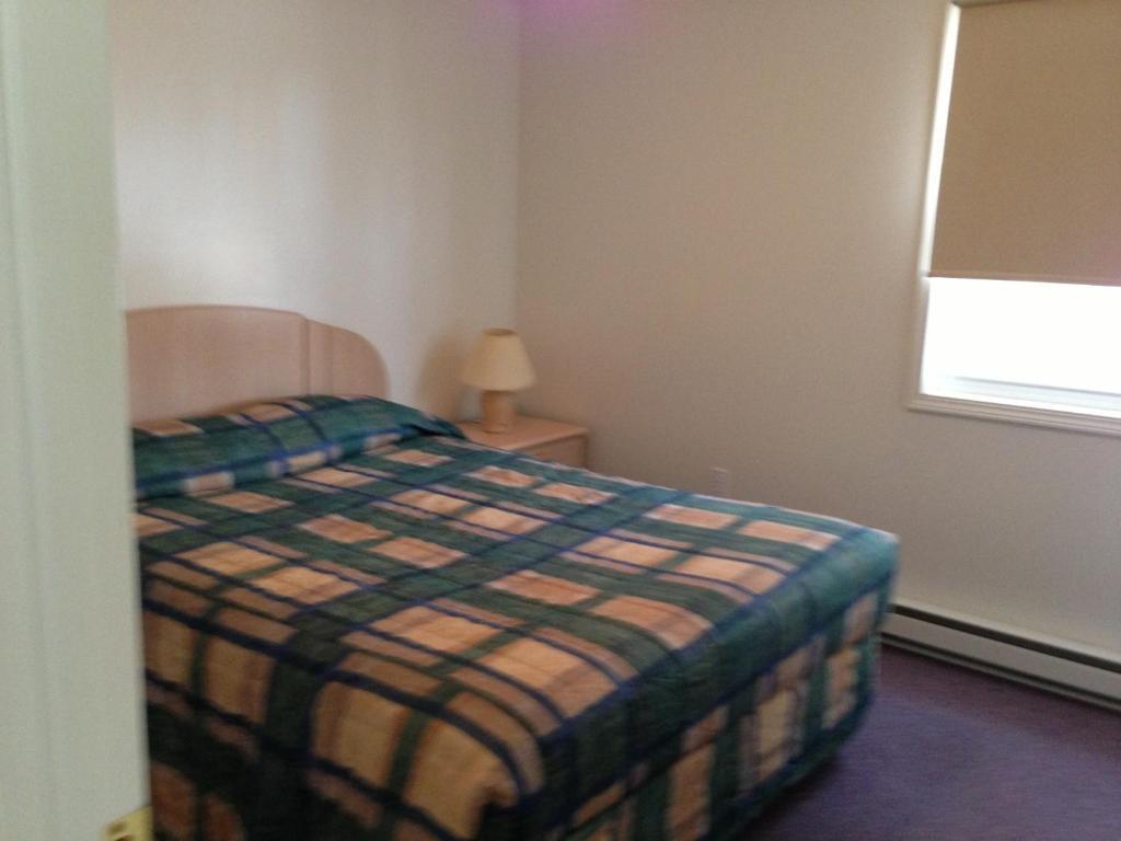 Settler'S Inn & Motel Plaster Rock Luaran gambar